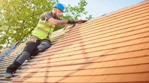 Best Roof Maintenance and Cleaning  in Plain City, OH