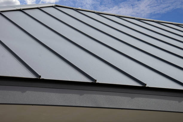 Best Skylight Installation and Repair  in Plain City, OH